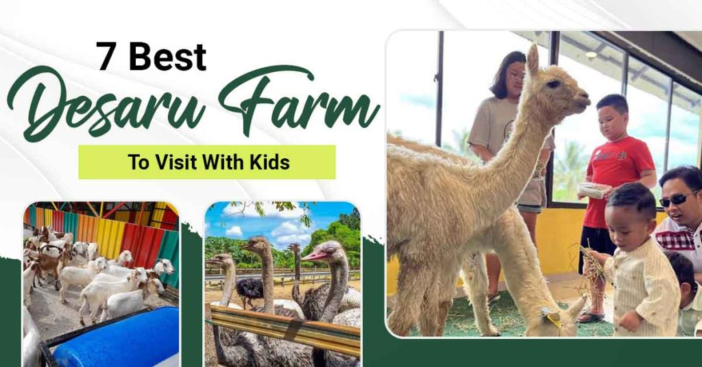 7 Best Desaru Farm To Visit With Kids