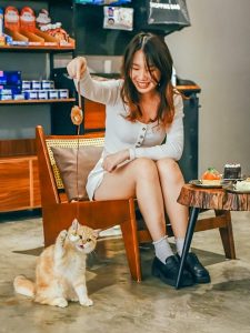 Desserts & Furry Company At MeowMe Cat House