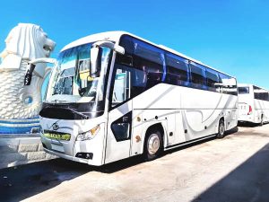 Diamond Coach From Singapore To Mersing