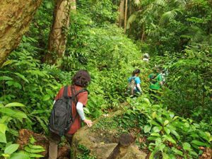 Jungle Trekking From Tekek Village To Juara Village