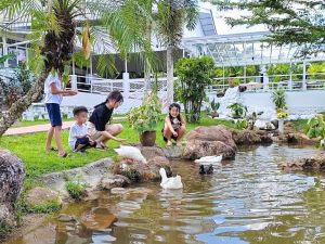 Kasih Sayang Farmstay Farm Animals