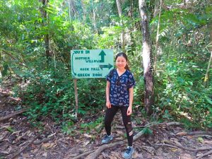 Rainforest & Mangrove Swamp Walk Paya Beach Resort