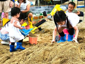 Sandcastle Park SuperFruits Farm Senai