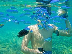 Snorkeling At Monkey Bay