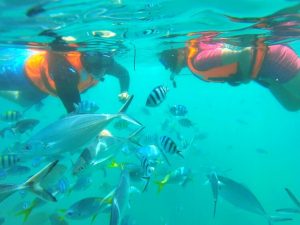 Snorkelling In Tioman Island