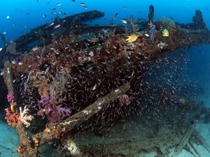 Tioman Fishing Boat Wreck Diving